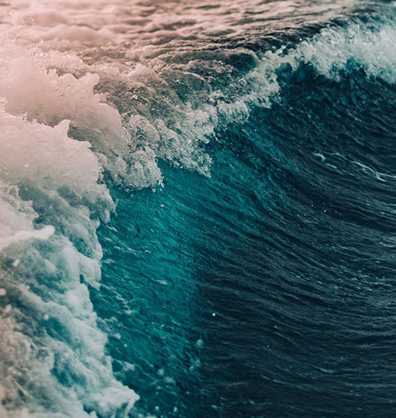 Wave. 