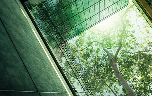 Tree growing above building.