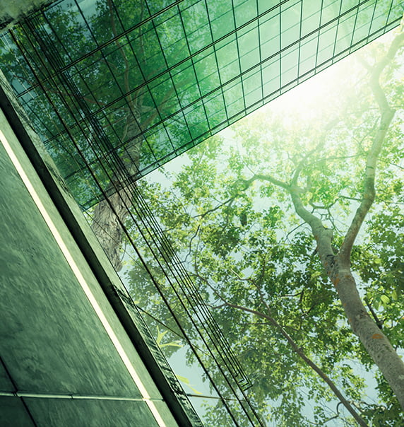 Looking up at a tree growing above a building.