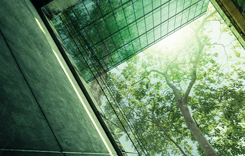A tree growing over a building.