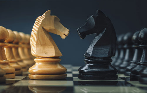 Two knight chess pieces. 