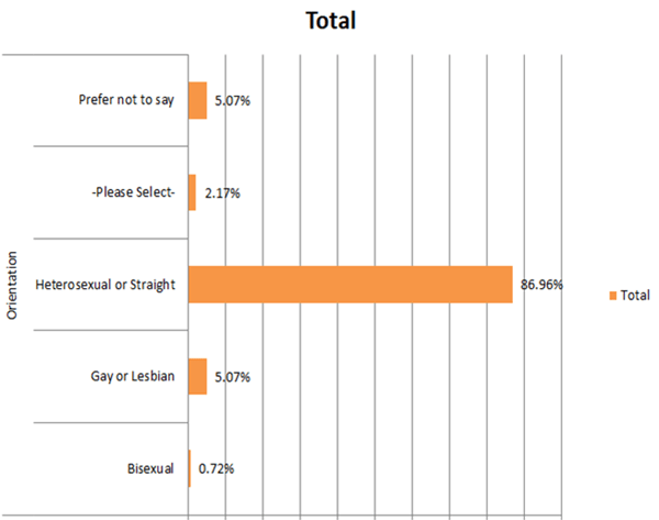 Diversity survey 2019 - sexual orientation