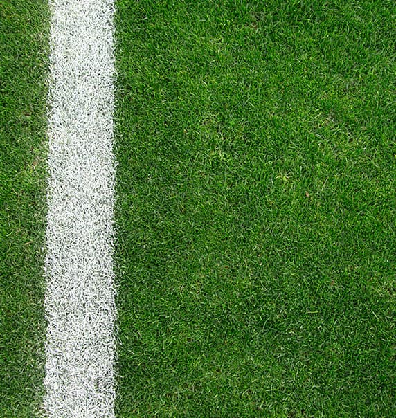 Photo of Football Field Grass 