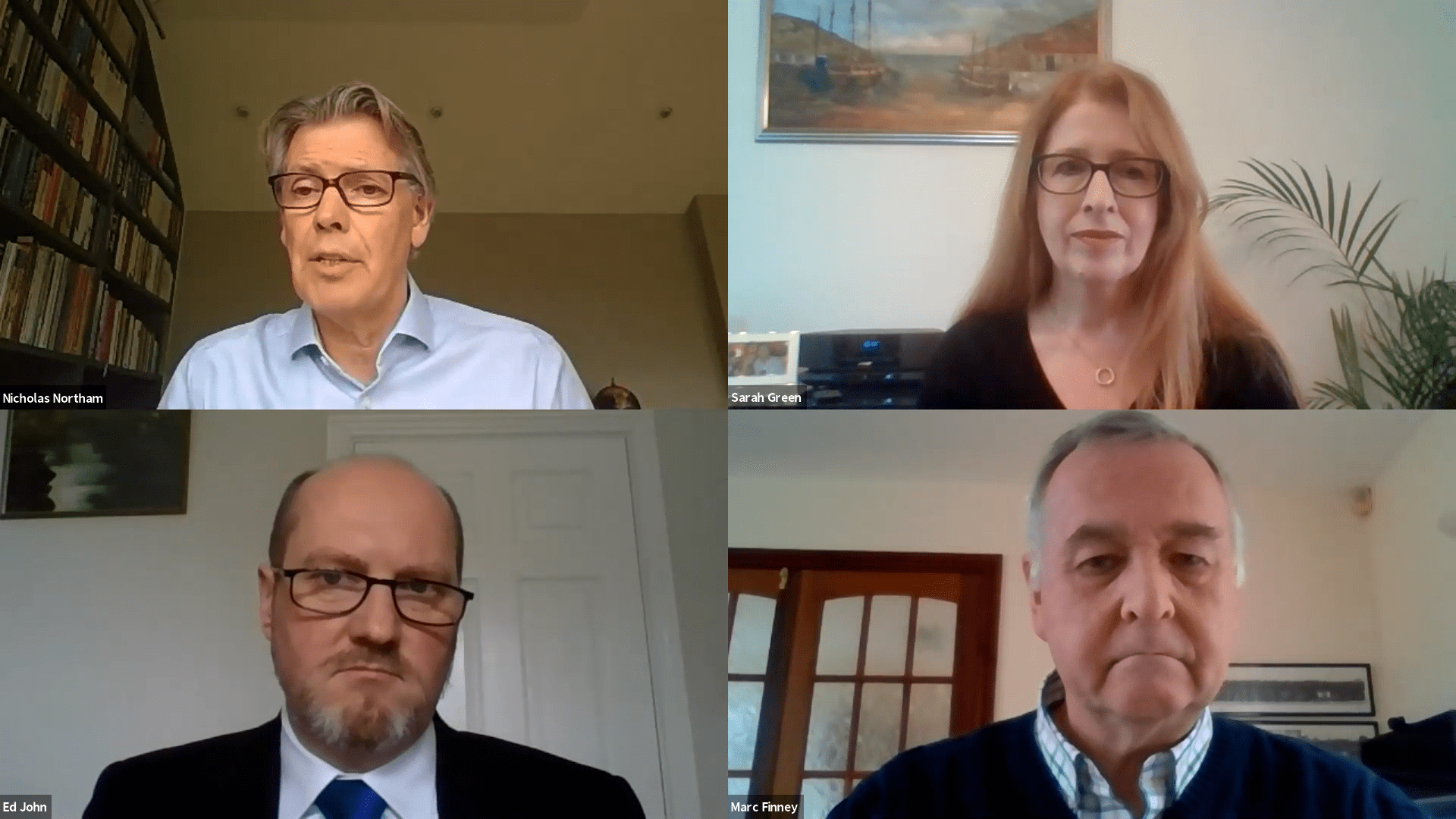 Panel on Zoom Webinar